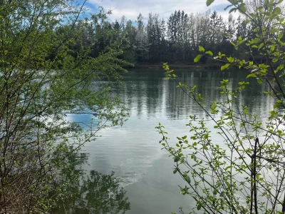 Blick auf See/Teich