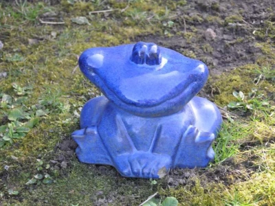 Happy Frog